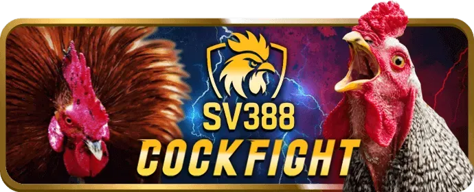 Các trò chơi khác